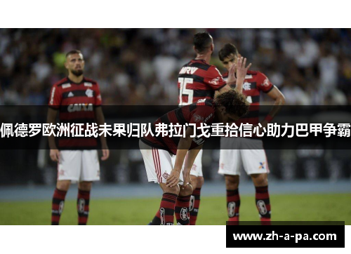 佩德罗欧洲征战未果归队弗拉门戈重拾信心助力巴甲争霸